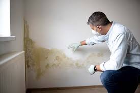 Best Mold Prevention Services  in Genoa, AR